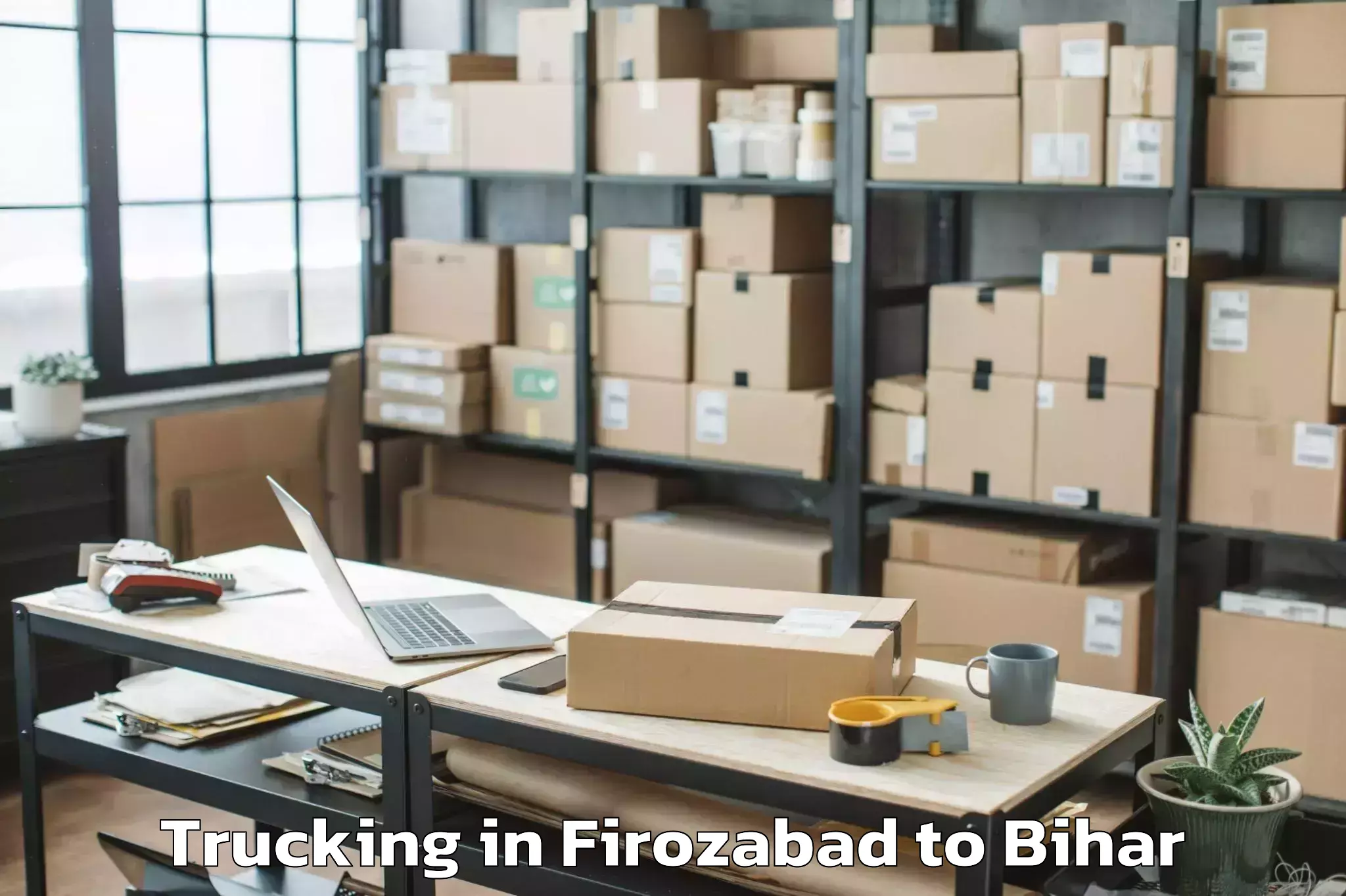 Book Firozabad to Alinagar Trucking Online